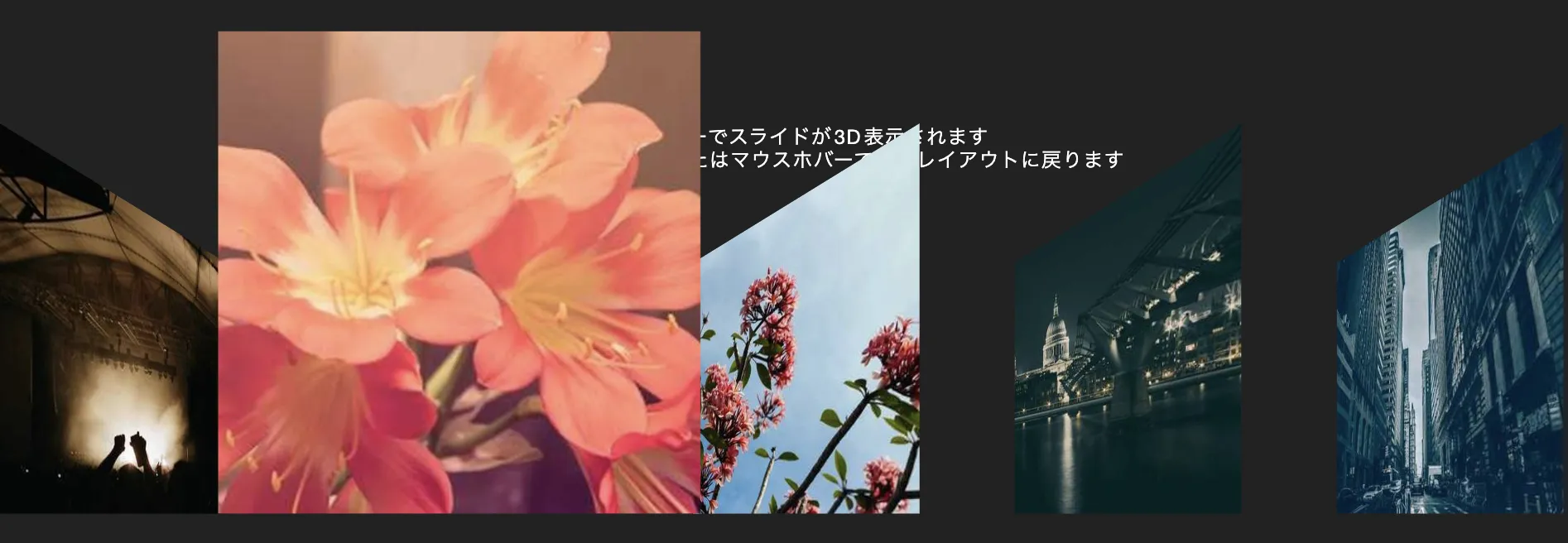 portfolio-demo1-image1